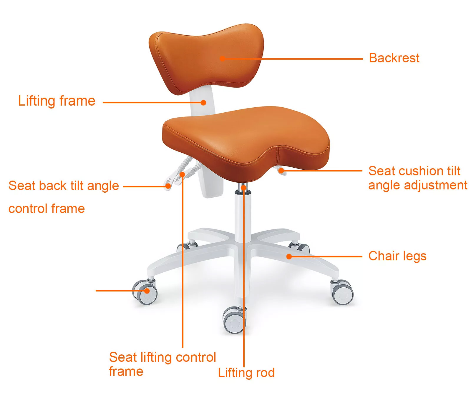 PLST-060 Adjustable Ergonomic Dental Operator Assistant Chair Dental Hygienist Saddle Stools